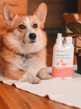 PURODORA Skunk Odor Neutralizer Duo for Pets